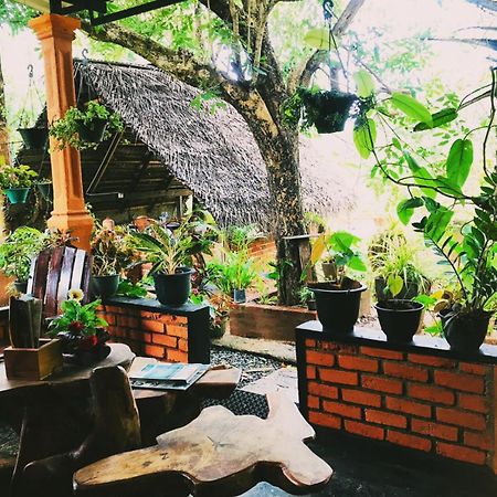 Oleena Home Stay Хабарана Екстер'єр фото