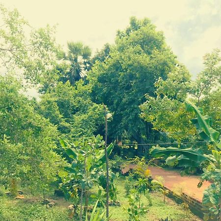 Oleena Home Stay Хабарана Екстер'єр фото