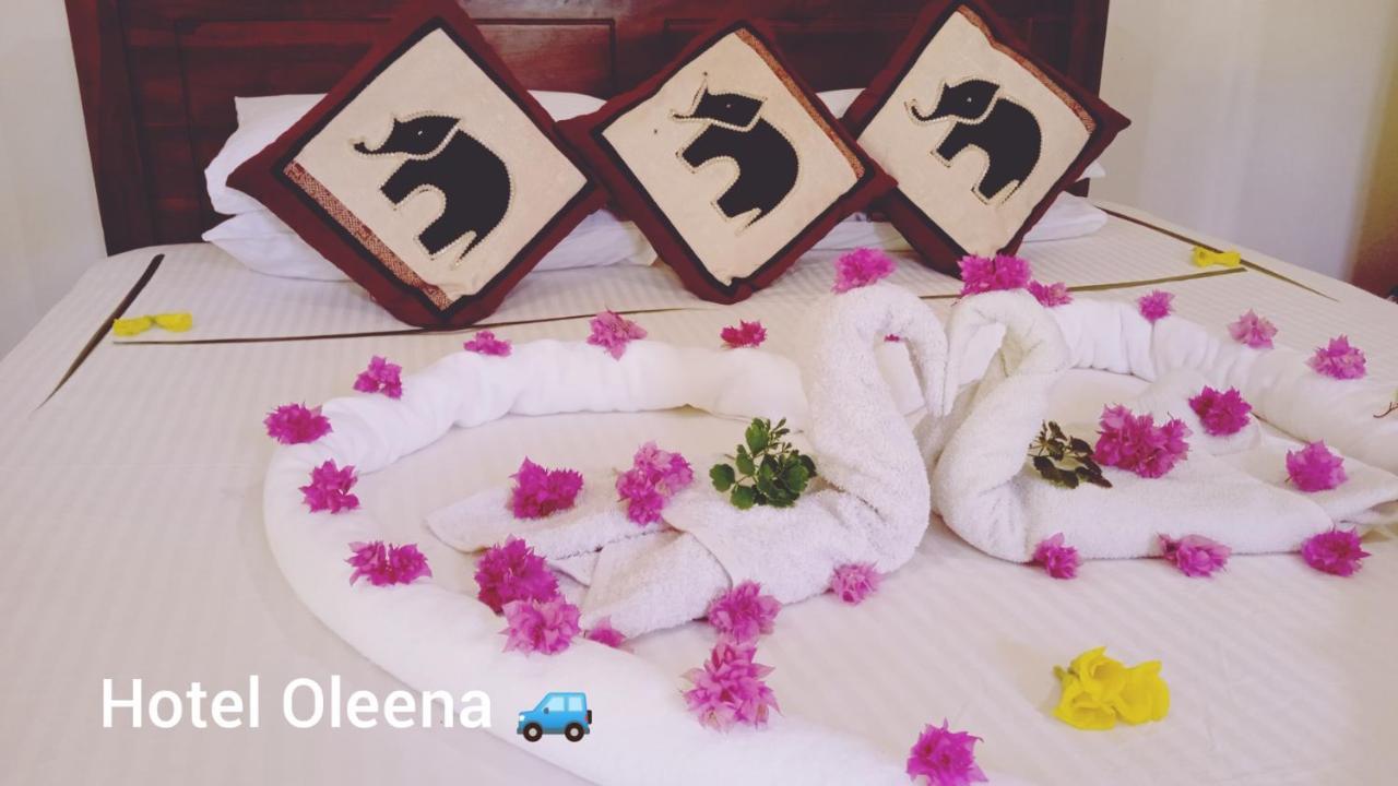 Oleena Home Stay Хабарана Екстер'єр фото