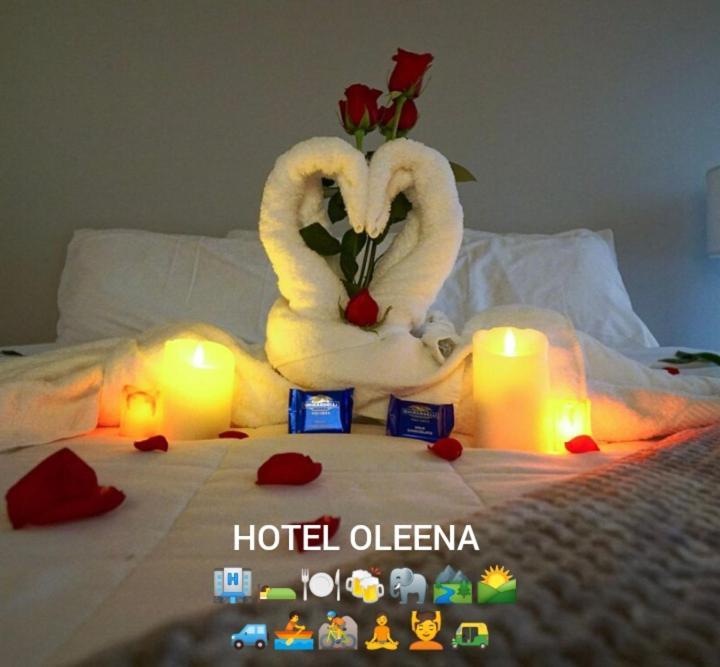 Oleena Home Stay Хабарана Екстер'єр фото