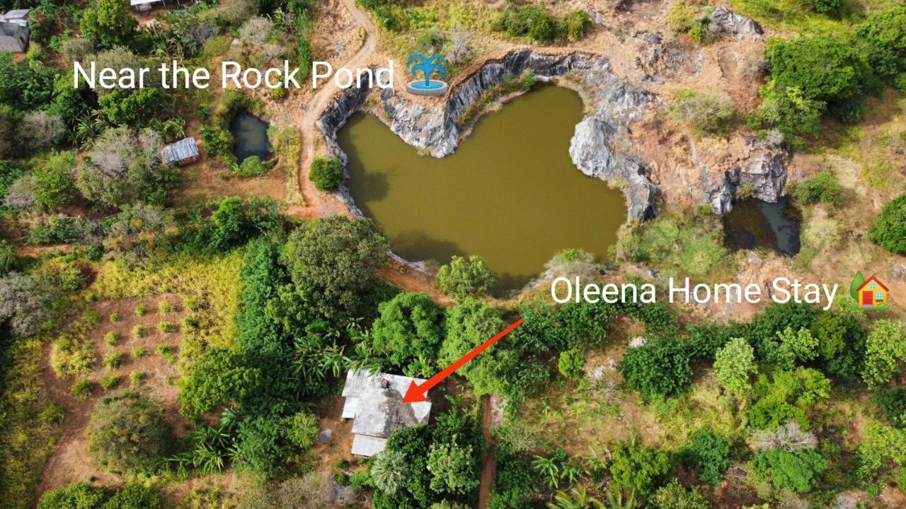 Oleena Home Stay Хабарана Екстер'єр фото