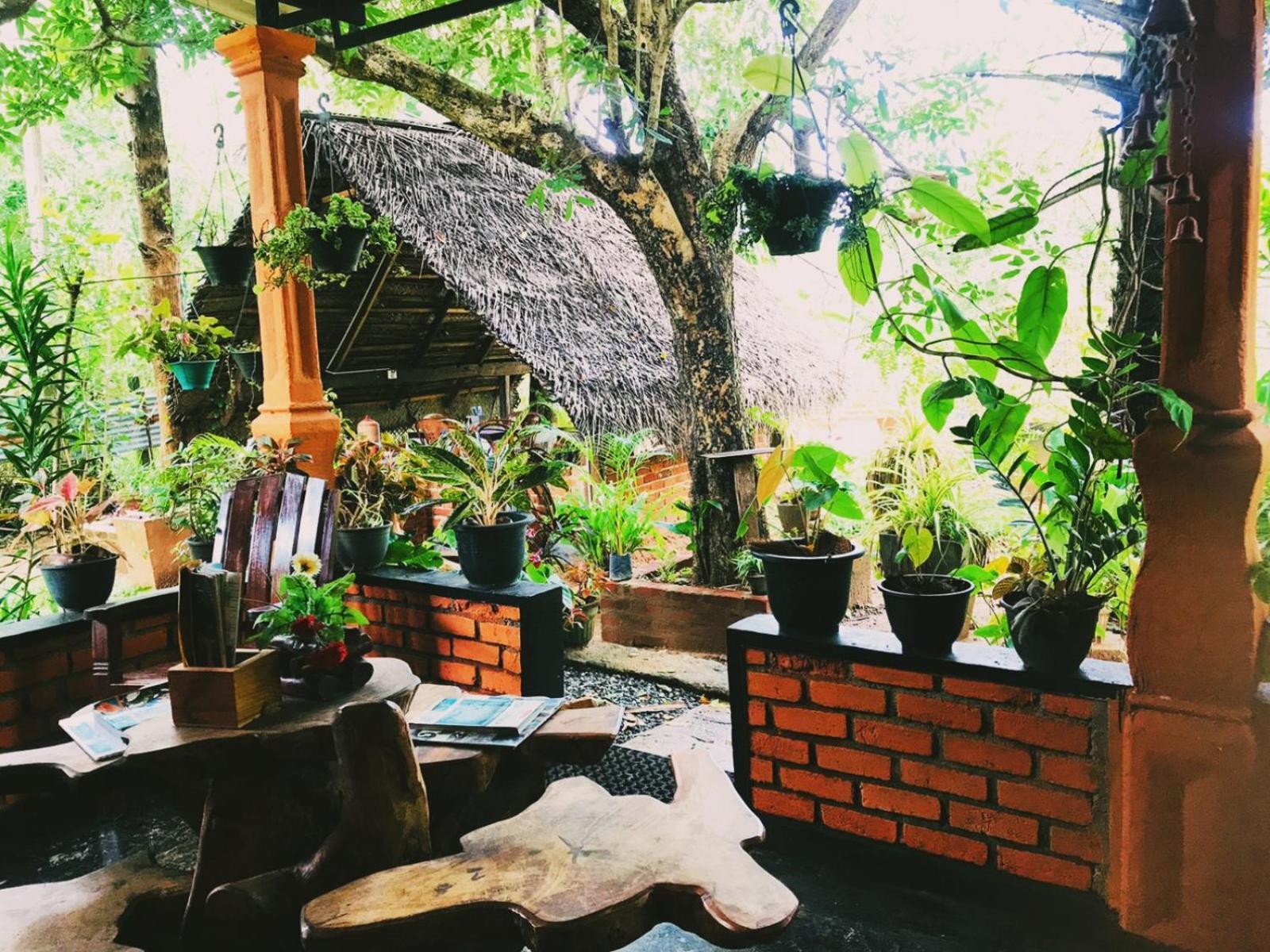 Oleena Home Stay Хабарана Екстер'єр фото