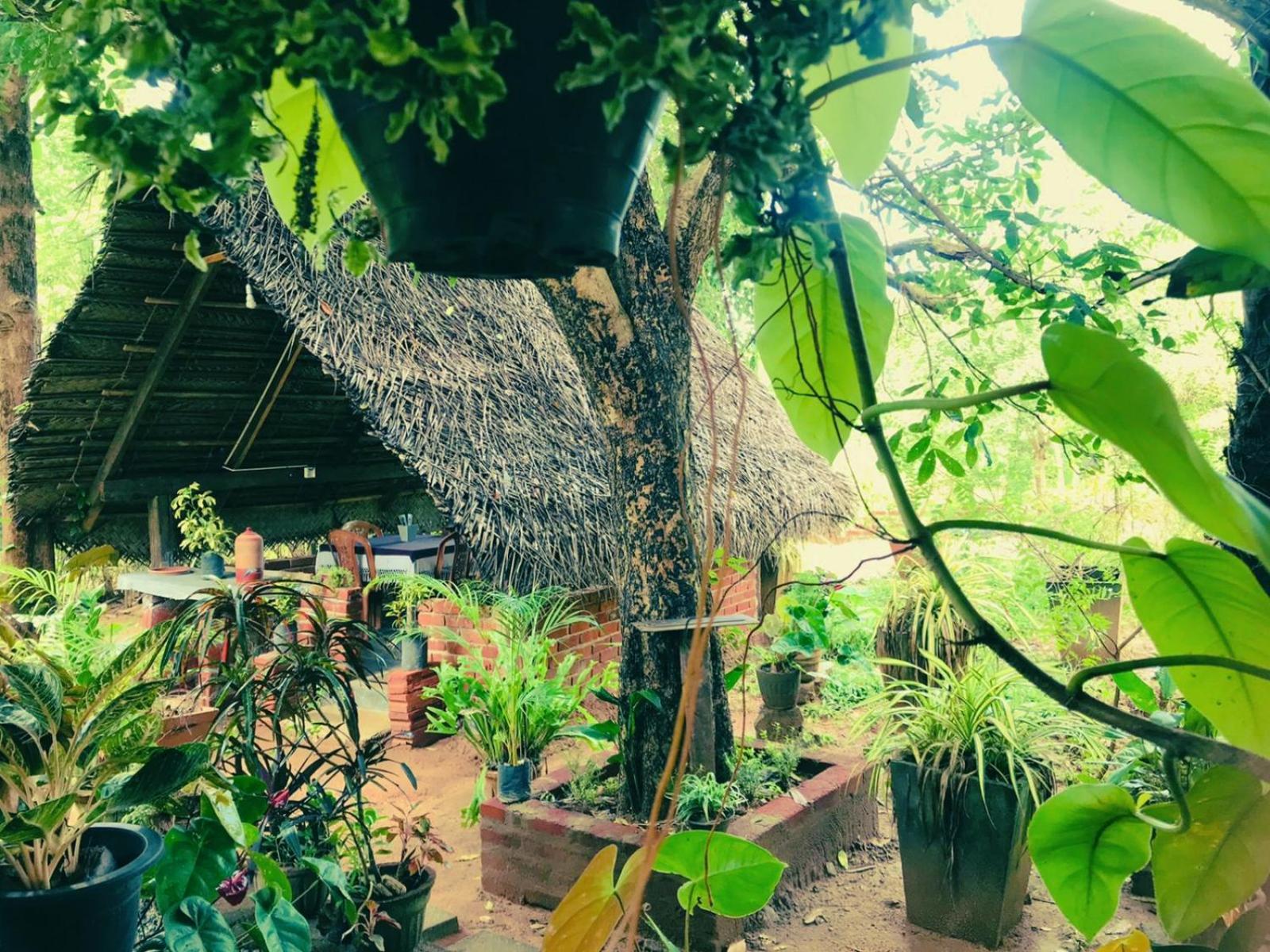 Oleena Home Stay Хабарана Екстер'єр фото