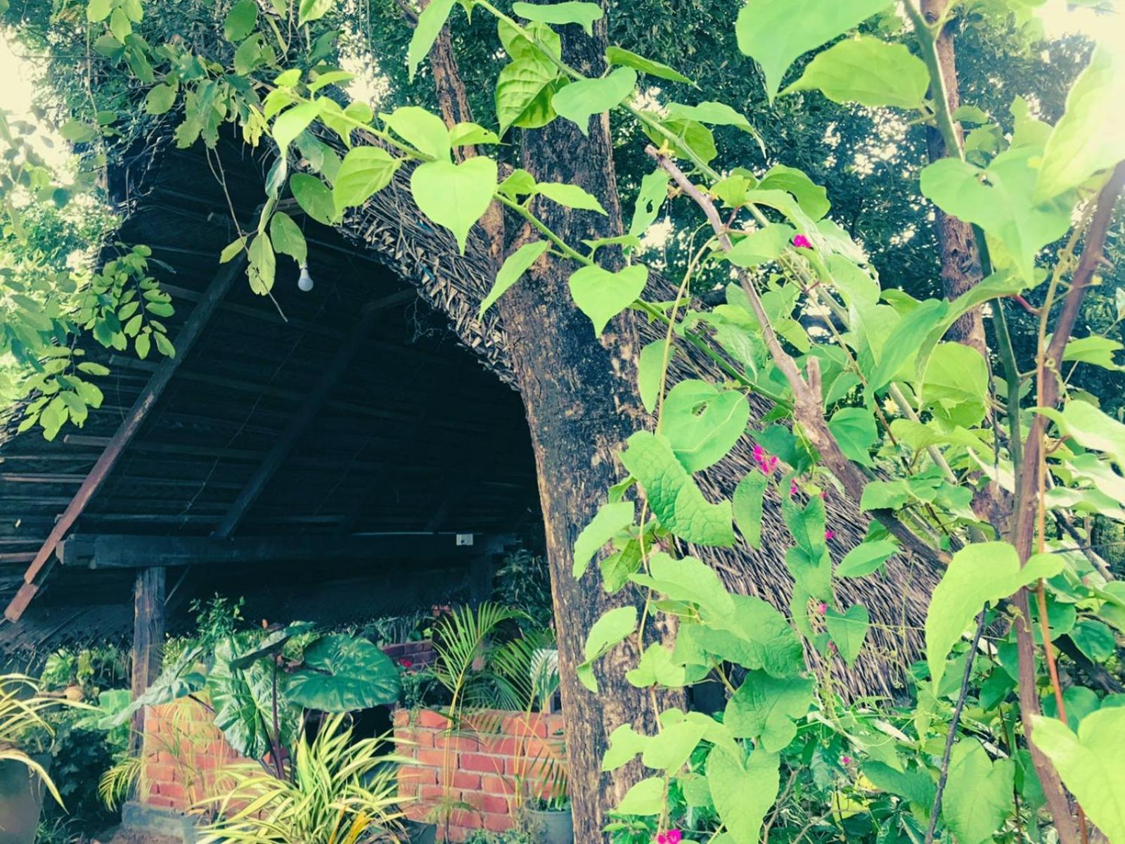 Oleena Home Stay Хабарана Екстер'єр фото